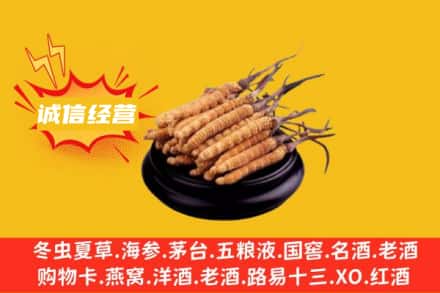 仁寿县回收冬虫夏草